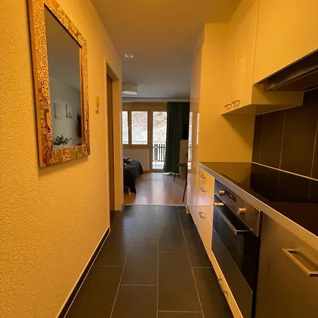 아파트 Vitalis 체르마트